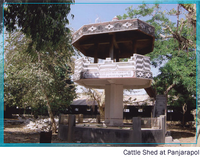 Panjarapol