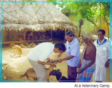 At a Veterinary Camp.