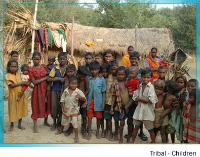 Tribal Children
